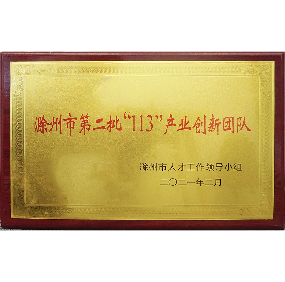 滁州市第二批113產(chǎn)業(yè)創(chuàng)新團(tuán)隊